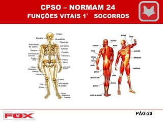 PÁG-20
CPSO – NORMAM 24
FUNÇÕES VITAIS 1° SOCORROS
 