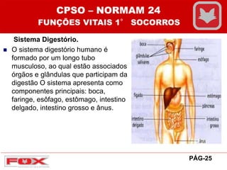 Sistema Digestório.
 O sistema digestório humano é
formado por um longo tubo
musculoso, ao qual estão associados
órgãos e glândulas que participam da
digestão O sistema apresenta como
componentes principais: boca,
faringe, esôfago, estômago, intestino
delgado, intestino grosso e ânus.
CPSO – NORMAM 24
FUNÇÕES VITAIS 1° SOCORROS
PÁG-25
 