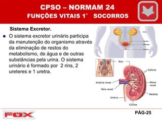 Sistema Excretor.
 O sistema excretor urinário participa
da manutenção do organismo através
da eliminação de restos do
metabolismo, de água e de outras
substâncias pela urina. O sistema
urinário é formado por 2 rins, 2
ureteres e 1 uretra.
CPSO – NORMAM 24
FUNÇÕES VITAIS 1° SOCORROS
PÁG-25
 