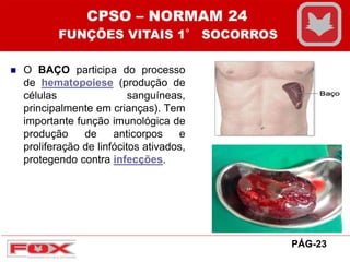  O BAÇO participa do processo
de hematopoiese (produção de
células sanguíneas,
principalmente em crianças). Tem
importante função imunológica de
produção de anticorpos e
proliferação de linfócitos ativados,
protegendo contra infecções.
CPSO – NORMAM 24
FUNÇÕES VITAIS 1° SOCORROS
PÁG-23
 