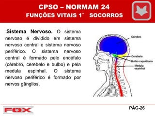 Sistema Nervoso. O sistema
nervoso é dividido em sistema
nervoso central e sistema nervoso
periférico. O sistema nervoso
central é formado pelo encéfalo
(cérebro, cerebelo e bulbo) e pela
medula espinhal. O sistema
nervoso periférico é formado por
nervos gânglios.
CPSO – NORMAM 24
FUNÇÕES VITAIS 1° SOCORROS
PÁG-26
 