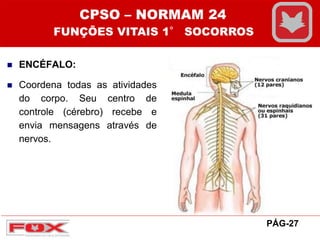  ENCÉFALO:
 Coordena todas as atividades
do corpo. Seu centro de
controle (cérebro) recebe e
envia mensagens através de
nervos.
CPSO – NORMAM 24
FUNÇÕES VITAIS 1° SOCORROS
PÁG-27
 