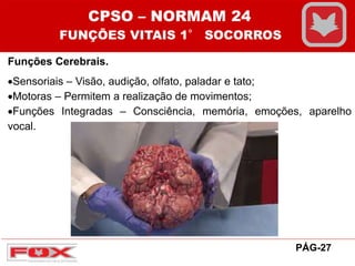 Funções Cerebrais.
Sensoriais – Visão, audição, olfato, paladar e tato;
Motoras – Permitem a realização de movimentos;
Funções Integradas – Consciência, memória, emoções, aparelho
vocal.
CPSO – NORMAM 24
FUNÇÕES VITAIS 1° SOCORROS
PÁG-27
 