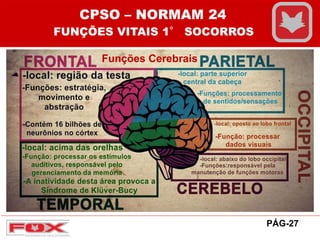 Funções Cerebrais
CPSO – NORMAM 24
FUNÇÕES VITAIS 1° SOCORROS
PÁG-27
 