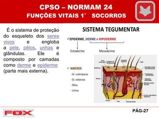 É o sistema de proteção
do esqueleto dos seres
vivos e engloba
a pele, pêlos, unhas e
glândulas. Ele é
composto por camadas
como derme e epiderme
(parte mais externa).
CPSO – NORMAM 24
FUNÇÕES VITAIS 1° SOCORROS
PÁG-27
 