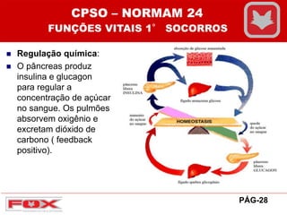  Regulação química:
 O pâncreas produz
insulina e glucagon
para regular a
concentração de açúcar
no sangue. Os pulmões
absorvem oxigênio e
excretam dióxido de
carbono ( feedback
positivo).
CPSO – NORMAM 24
FUNÇÕES VITAIS 1° SOCORROS
PÁG-28
 