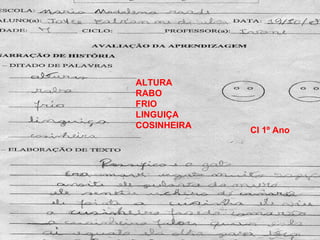 CI 1º Ano ALTURA RABO FRIO LINGUIÇA COSINHEIRA 