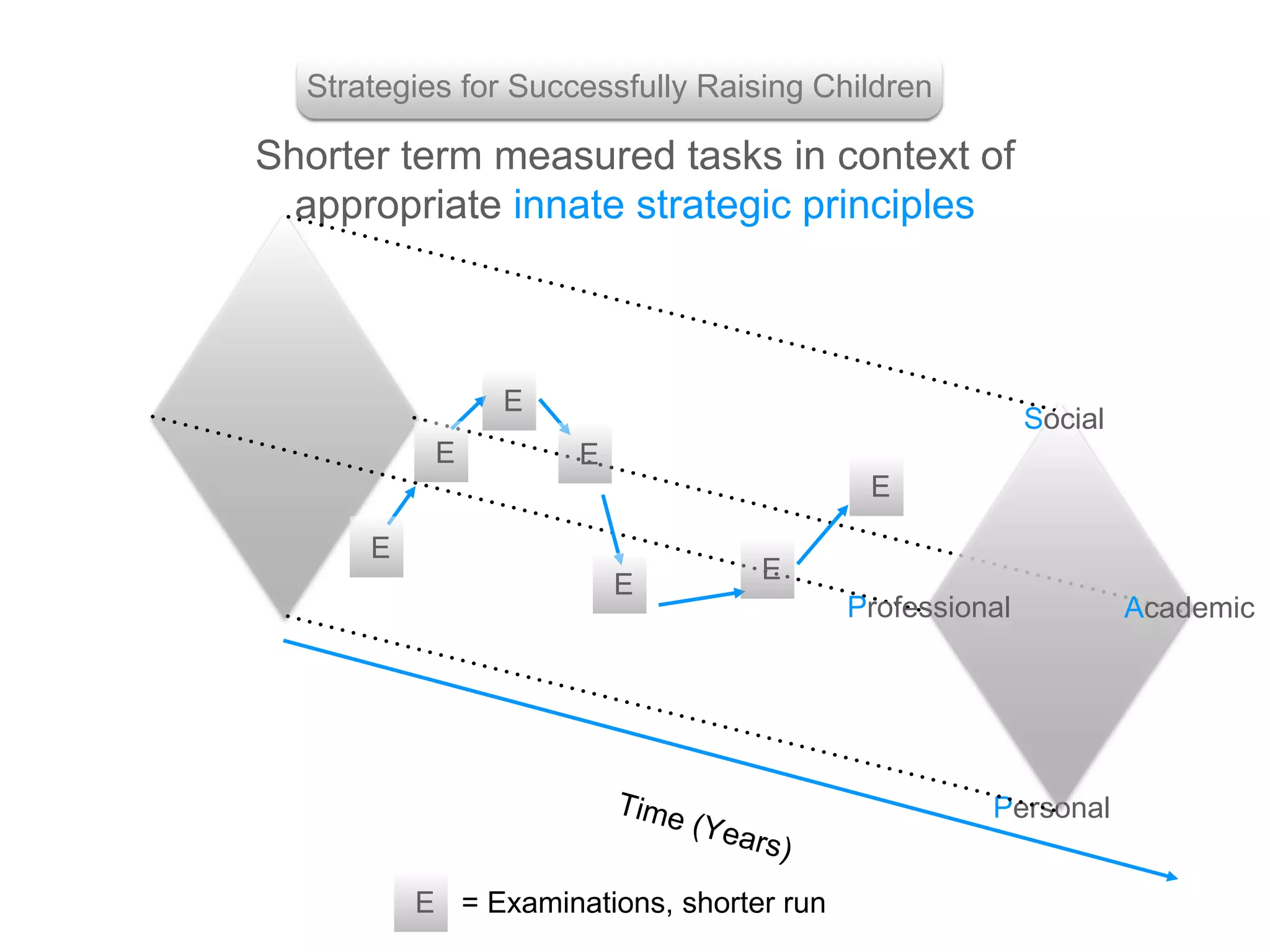 Shorter term measured tasks in context of
appropriate innate strategic principles
Strategies for Successfully Raising Children
Personal
Professional Academic
Social
= Examinations, shorter runE
E
E
E
E
E
E
E
 