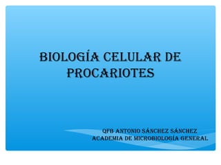 BIOLOGÍA CELULAR DE
PROCARIOTES
QFB ANTONIO SÁNCHEZ SÁNCHEZ
ACADEMIA DE MICROBIOLOGÍA GENERAL
 
