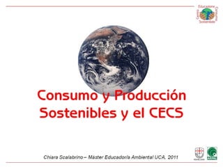 2011: Consumo y Producción Sostenibles y el CECS 