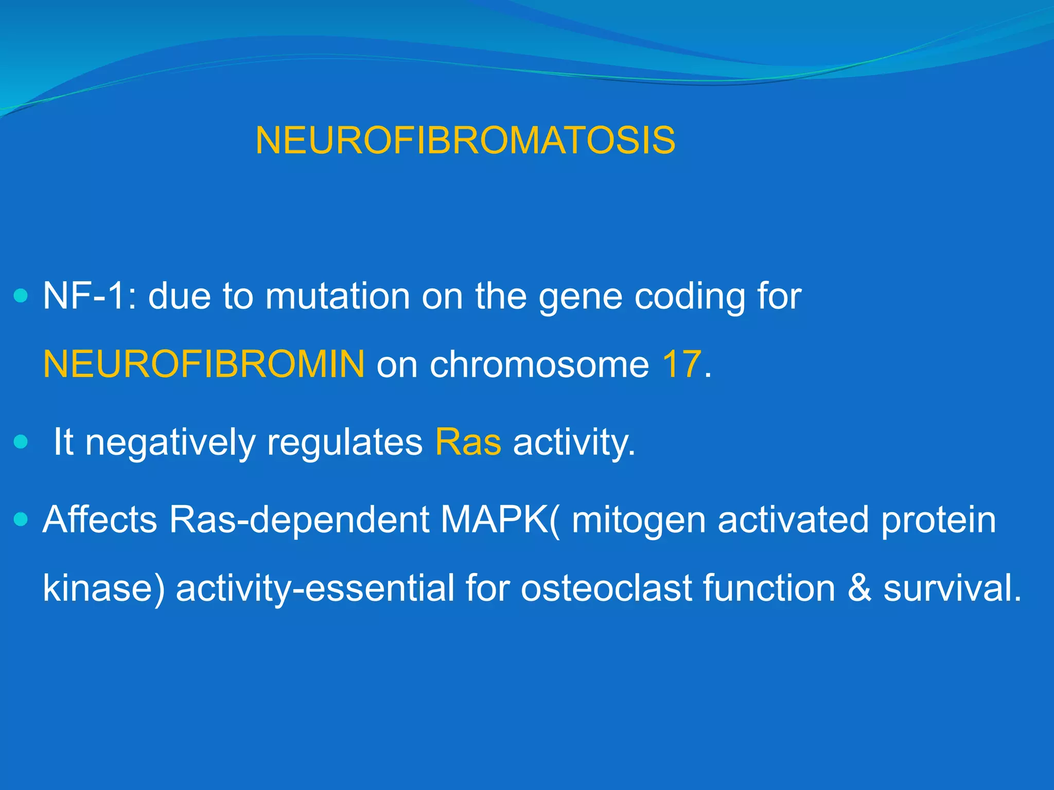 NEUROFIBROMATOSIS
 NF-1: due to mutation on the gene coding for
NEUROFIBROMIN on chromosome 17.
 It negatively regulates Ras activity.
 Affects Ras-dependent MAPK( mitogen activated protein
kinase) activity-essential for osteoclast function & survival.
 