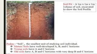 DEFINITION AND COMPOSITION OF SOIL
Soil components:
 Only about half of the soil volume consists of solid material (organ...