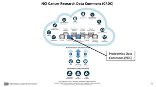 CPTAC Data Portal and Proteomics Data Commons | PDF