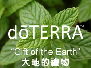 “Gift of the Earth” 
大地的禮物 
 