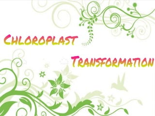 Chloroplast Transformation
 