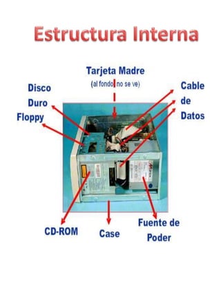 Estructura Interna