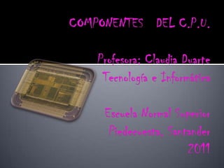 COMPONENTES   DEL C.P.U.Profesora: Claudia DuarteTecnología e Informática Escuela Normal SuperiorPiedecuesta, Santander2011 