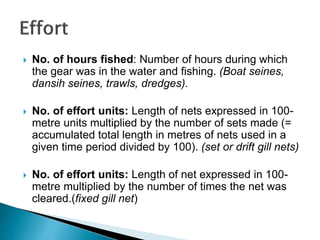  No. of hours fished: Number of hours during which
the gear was in the water and fishing. (Boat seines,
dansih seines, trawls, dredges).
 No. of effort units: Length of nets expressed in 100-
metre units multiplied by the number of sets made (=
accumulated total length in metres of nets used in a
given time period divided by 100). (set or drift gill nets)
 No. of effort units: Length of net expressed in 100-
metre multiplied by the number of times the net was
cleared.(fixed gill net)
 