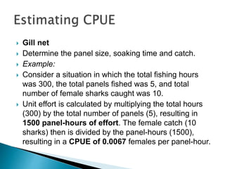  Gill net
 Determine the panel size, soaking time and catch.
 Example:
 Consider a situation in which the total fishing hours
was 300, the total panels fished was 5, and total
number of female sharks caught was 10.
 Unit effort is calculated by multiplying the total hours
(300) by the total number of panels (5), resulting in
1500 panel-hours of effort. The female catch (10
sharks) then is divided by the panel-hours (1500),
resulting in a CPUE of 0.0067 females per panel-hour.
 