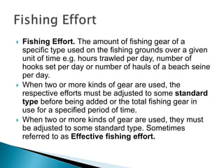  Fishing Effort. The amount of fishing gear of a
specific type used on the fishing grounds over a given
unit of time e.g. hours trawled per day, number of
hooks set per day or number of hauls of a beach seine
per day.
 When two or more kinds of gear are used, the
respective efforts must be adjusted to some standard
type before being added or the total fishing gear in
use for a specified period of time.
 When two or more kinds of gear are used, they must
be adjusted to some standard type. Sometimes
referred to as Effective fishing effort.
 
