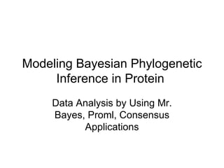 Modeling Bayesian Phylogenetic Inference in Protein  Data Analysis by Using Mr. Bayes, Proml, Consensus Applications 