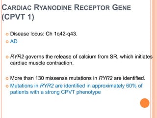CARDIAC RYANODINE RECEPTOR GENE
(CPVT 1)
 Disease locus: Ch 1q42-q43.
 AD
 RYR2 governs the release of calcium from SR, which initiates
cardiac muscle contraction.
 More than 130 missense mutations in RYR2 are identified.
 Mutations in RYR2 are identified in approximately 60% of
patients with a strong CPVT phenotype
 