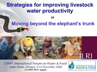 Strategies for improving livestock water productivity   or   Moving beyond the elephant’s trunk CPWF International Forum on Water & Food Addis Ababa, Ethiopia, 9-14 November 2008 (A CPWF PN37 output) 
