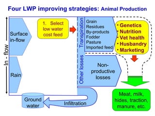 Strategies for improving livestock water productivity or moving beyond the elephant’s trunk