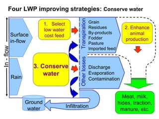Strategies for improving livestock water productivity or moving beyond the elephant’s trunk