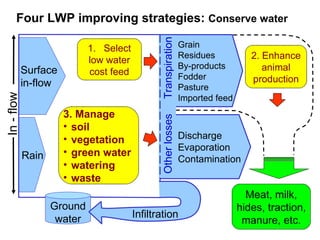 Strategies for improving livestock water productivity or moving beyond the elephant’s trunk