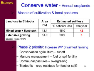 Strategies for improving livestock water productivity or moving beyond the elephant’s trunk