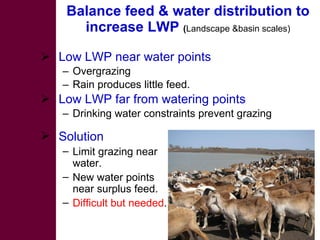 Strategies for improving livestock water productivity or moving beyond the elephant’s trunk
