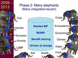 Strategies for improving livestock water productivity or moving beyond the elephant’s trunk
