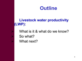 Strategies for improving livestock water productivity or moving beyond the elephant’s trunk