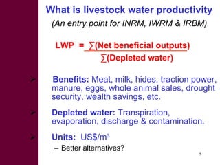 Strategies for improving livestock water productivity or moving beyond the elephant’s trunk