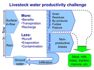 Strategies for improving livestock water productivity or moving beyond the elephant’s trunk