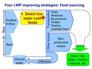 Strategies for improving livestock water productivity or moving beyond the elephant’s trunk