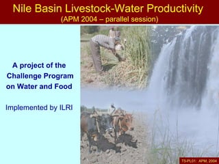 A project of the  Challenge Program on Water and Food   Implemented by ILRI   Nile Basin Livestock-Water Productivity  (APM 2004 – parallel session) T5-PL01:  APM, 2004 