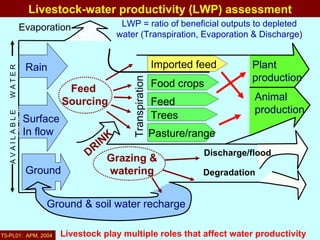 Nile Basin livestock-water productivity: A project of the Challenge Program on Water and Food, implemented by ILRI