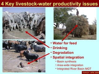 Nile Basin livestock-water productivity: A project of the Challenge Program on Water and Food, implemented by ILRI