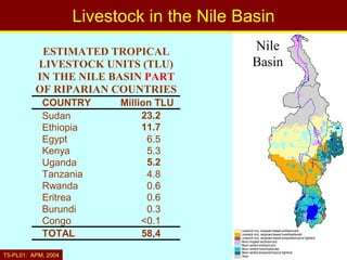 Nile Basin livestock-water productivity: A project of the Challenge Program on Water and Food, implemented by ILRI