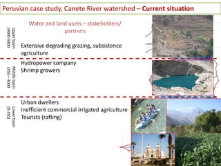 Peruvian  case  study,  Canete  River  watershed     Current  situation  
                         Water  and  land  users     stakeholders/  
                             Ecosystem  service  provision    
                                 River  flow  use  (m3/s)  
 (4000-­‐5800  
 (4000-­‐5800  
 Upper  basin  
 Upper  basin  
 (4000-­‐5800  




                                    (Water  yield  (mm))  
                                          partners  
                                                
                                                   
                                             0    
                      Extensive  degrading  grazing,  subsistence  
                                       1111-­‐1507  
                                 (mostly  from  springs)  
                      agriculture  
                      Hydropower  company  
                                        51-­‐256  
                                               
   (350     4000  
   (350     4000  
 Middle  basin  
 Middle  basin  
    (350     4000  




                      Shrimp  growers          
                                               
                                        250,  64  

                      Urban  dwellers   0-­‐50    
 (0-­‐350)  
 (0-­‐350)  
 Lower  basin    
 Lower  basin    
 (0-­‐350)  




                      Inefficient  commercial  irrigated  agriculture  
                      Tourists  (rafting)  
 