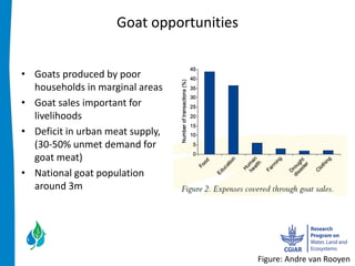 Goat  opportunities    


Goats  produced  by  poor  
households  in  marginal  areas  
Goat  sales  important  for  
livelihoods  
Deficit  in  urban  meat  supply,  
(30-­‐50%  unmet  demand  for  
goat  meat)  
National  goat  population  
around  3m  
  


                                               Figure:  Andre  van  Rooyen  
 