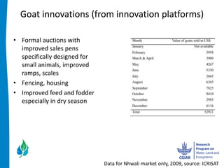 Goat  innovations  (from  innovation  platforms)    
                          
Formal  auctions  with  
improved  sales  pens  
specifically  designed  for  
small  animals,  improved  
ramps,  scales  
Fencing,  housing  
Improved  feed  and  fodder  
especially  in  dry  season  
  
  


                                Data  for  Nhwali  market  only,  2009,  source:  ICRISAT  
 
