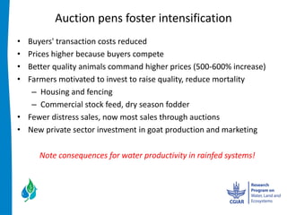 Auction  pens  foster  intensification  
Buyers'  transaction  costs  reduced  
Prices  higher  because  buyers  compete  
Better  quality  animals  command  higher  prices  (500-­‐600%  increase)    
Farmers  motivated  to  invest  to  raise  quality,  reduce  mortality    
    Housing  and  fencing  
    Commercial  stock  feed,  dry  season  fodder  
Fewer  distress  sales,  now  most  sales  through  auctions    
New  private  sector  investment  in  goat  production  and  marketing    

   Note  consequences  for  water  productivity  in  rainfed  systems!  
 