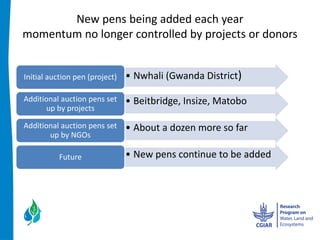 New  pens  being  added  each  year  
momentum  no  longer  controlled  by  projects  or  donors    
                            

Initial  auction  pen  (project)     Nwhali  (Gwanda  District)  

Additional  auction  pens  set       Beitbridge,  Insize,  Matobo  
      up  by  projects  

Additional  auction  pens  set       About  a  dozen  more  so  far  
       up  by  NGOs      

            Future                   New  pens  continue  to  be  added    
 