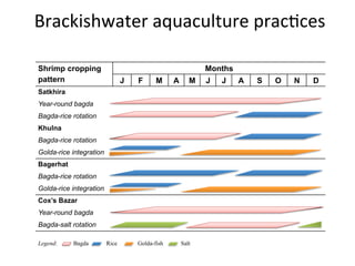 Aquaculture production systems in intertidal areas of Bangladesh: A review