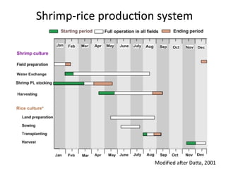 Aquaculture production systems in intertidal areas of Bangladesh: A review