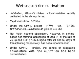 Aquaculture production systems in intertidal areas of Bangladesh: A review