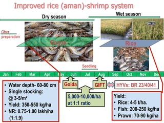 Aquaculture production systems in intertidal areas of Bangladesh: A review